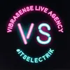 VibraSense_US logo