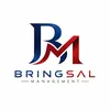 Bringsal Agency_ID logo