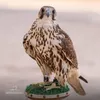 Someone