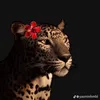 Someone