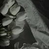 Someone