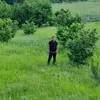 Someone