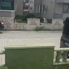 Someone