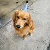 Someone