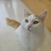 Someone