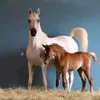 Someone