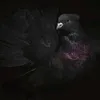 Someone