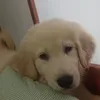 Someone