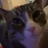 Someone