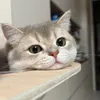 Someone