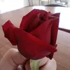 Someone