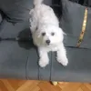 Someone