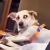 Someone