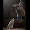 Someone