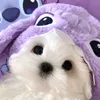 Someone