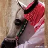 Someone