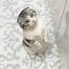 Someone