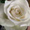 Someone