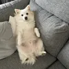 Someone