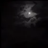 Someone