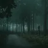 Someone