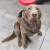 Someone