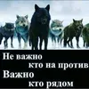 Someone