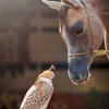 Someone