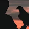 Someone