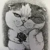 Someone