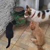 Someone