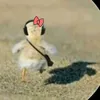 Someone