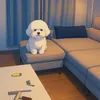 Someone