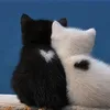 Someone