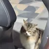 Someone