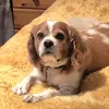 Someone