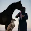 Someone