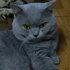 Someone