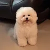 Someone