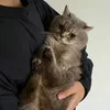Someone