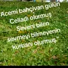 Someone