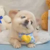 Someone
