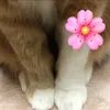 Someone