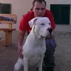 Someone