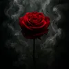 Someone