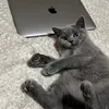 Someone