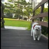 Someone