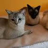 Someone