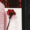 Someone