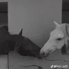 Someone